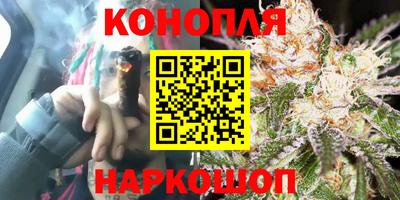 spice Моздок